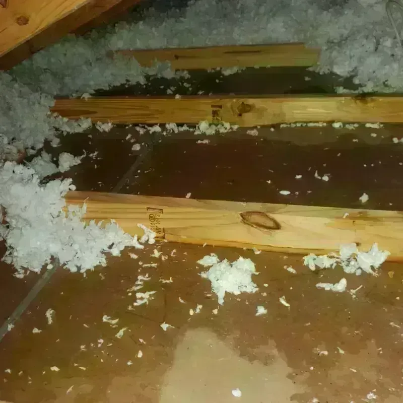 Attic Water Damage in Paint Rock, TX